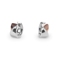 stainess-twisted-2tones-hypoallergenic-earrings-boucles-oreilles-twist-2tons-acier-inox-hypoallergenique-T416E003